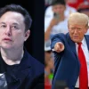 Donald Trump and Elon Musk