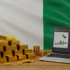 How to Invest in Nigerian Treasury Bills and Savings Bonds